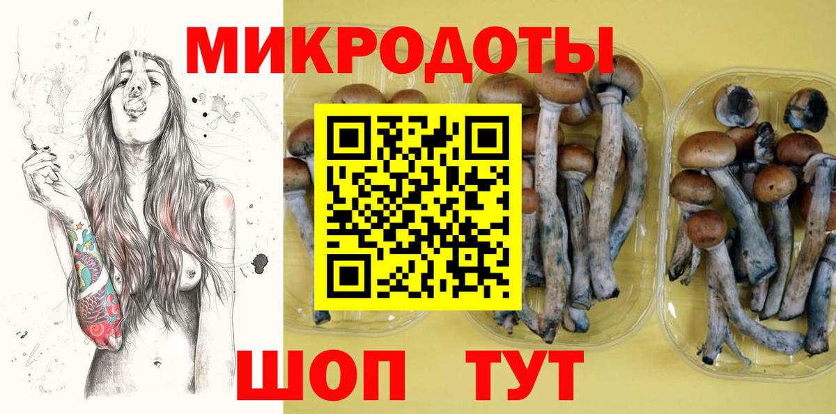 Ессентуки  Псилоцибиновые грибы Magic Shrooms  Вход с VPN 